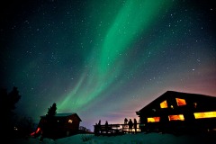 Bedazzling Borealis