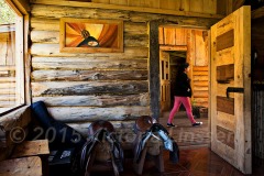 Mapuche House, Pucon Chile