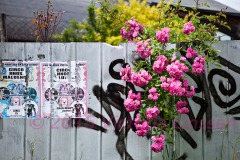 Flowers and Graffiti