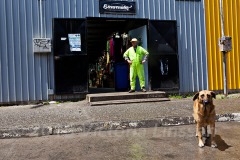 Man and Dog