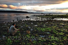 Daniel Collecting Mussels