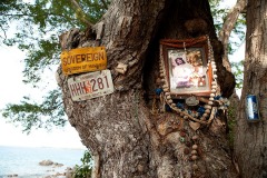 Culture of Hawaii