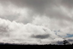 Hawaii Nature Scenes