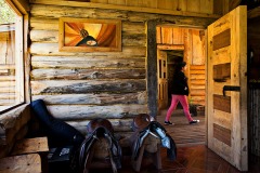Mapuche House