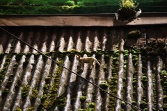 World_0003