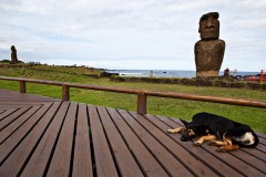 Dog and Moai