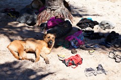 Starving at the Beach