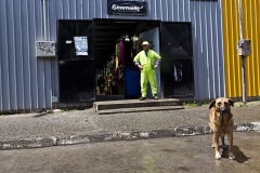 Man and Dog