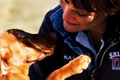 On Tuesday, January 17, 2012, Kate Davern shows off her show dog puppy flyer. Davern is a family employee at Sundowners Kennel in Gilroy, CA. Her mom Pluis founded the organization to train dogs to become FEMA certified urban search and rescue dogs. (Photo by Victoria Linssen / Brooks Institute © 2012.)