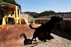 Wilma Melville fundraises at Wheeler Canyon facility