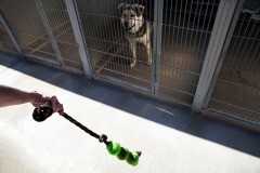 From rescued to rescuer