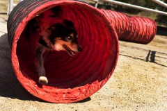Wilma Melville fundraises at Wheeler Canyon facility
