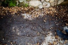 PICTURE STORY OF ARTIST KATIE VAN HORNE