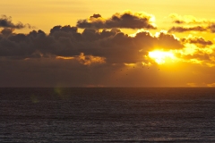 Pelicans Fly Through Rays of God