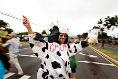 Maui GMO Protest