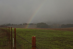 Rainbow in Ojai