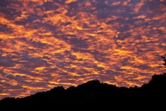 Fiery Sunset