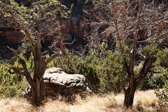 Wet Beaver Creek Trail, Sedona AZ