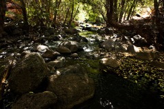 Wet Beaver Creek Trail, Sedona AZ