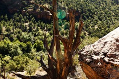 Wet Beaver Creek Trail, Sedona AZ