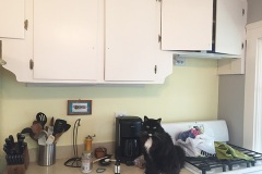 The Cabinets 1