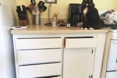 The Cabinets 1