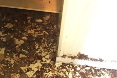The Laundry Room Closet 8
