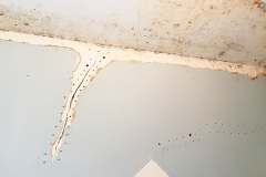 The Laundry Room 14