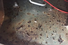 The Oven Debacle 10