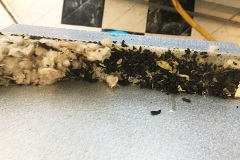 The Oven Debacle 11