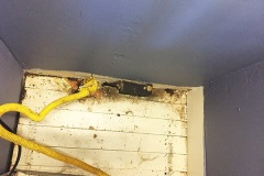 The Oven Debacle 4