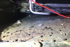 The Oven Debacle 9