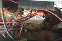 The Oven Debacle 8