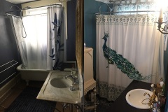 Upstairs Bathroom Before-After